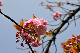 image0214