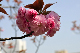image0217