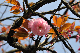image0218