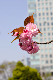 image0219
