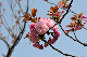 image0220