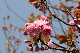 image0221