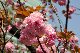 image0222