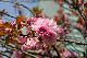 image0223