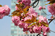 image0224
