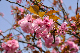 image0226