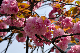 image0227