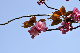 image0229