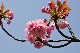image0230