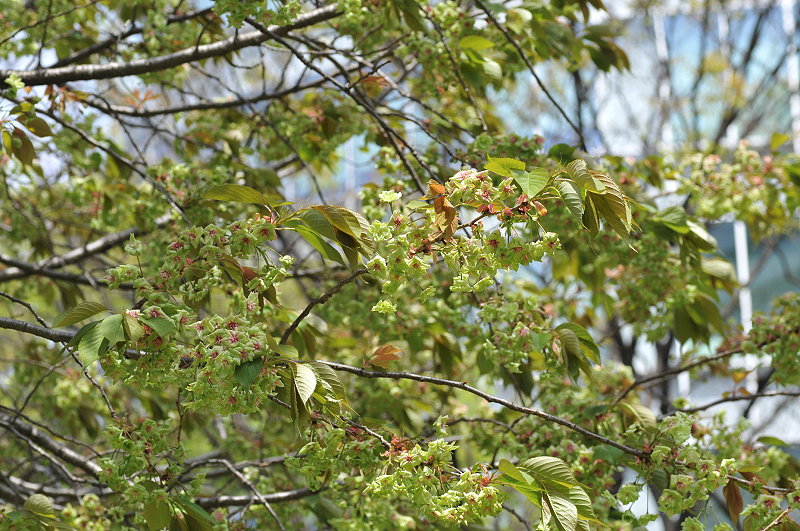 image0107