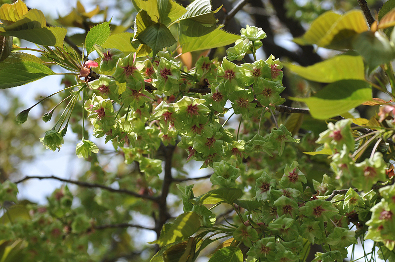 image0113
