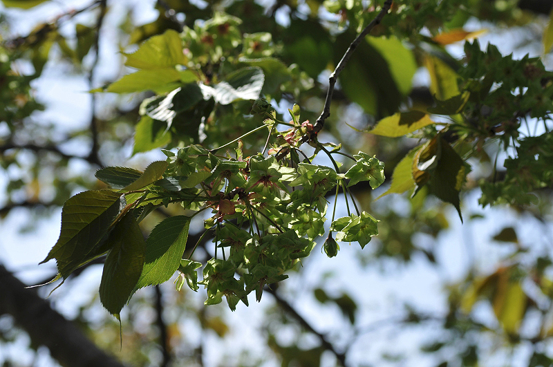 image0116