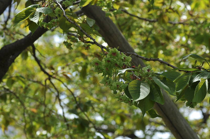 image0120