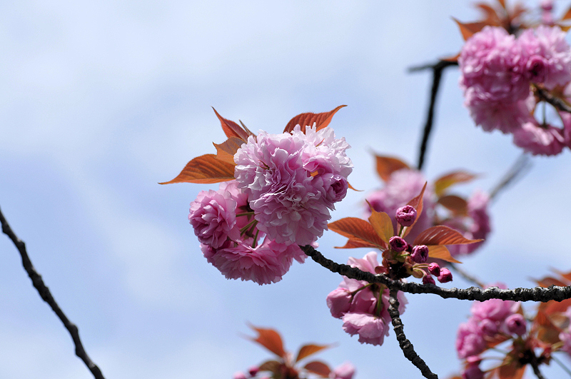 image0122