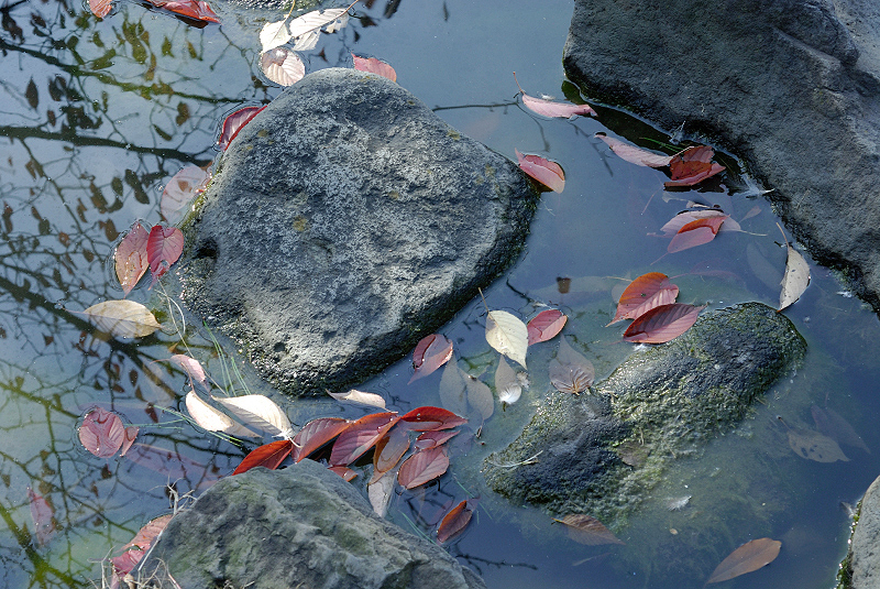 image0097