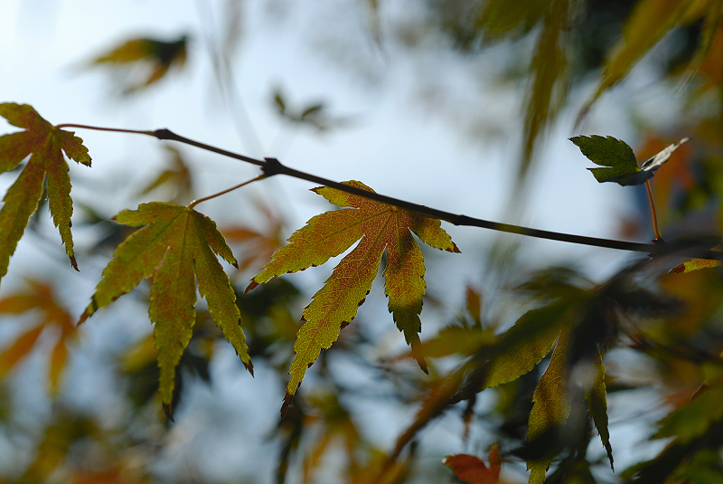 image0114