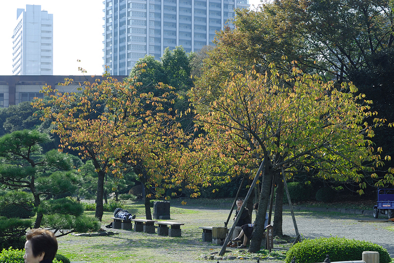 image0126