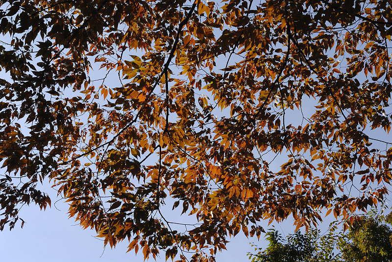 image0136