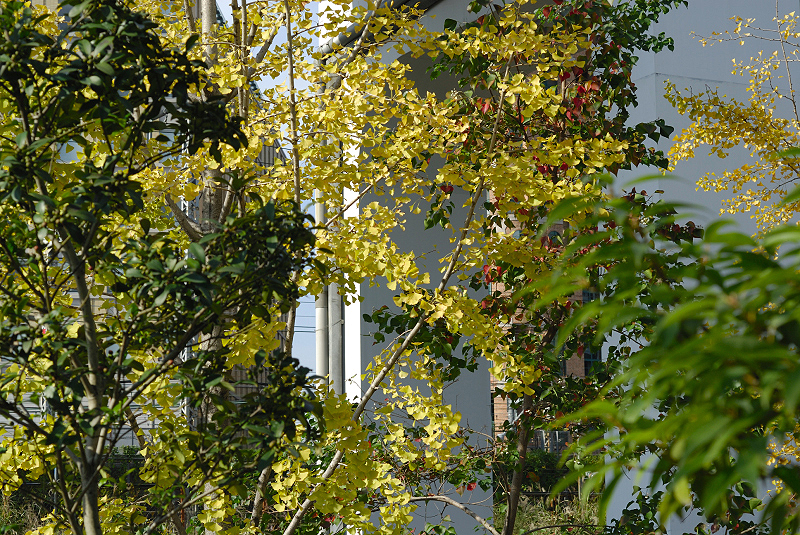 image0140