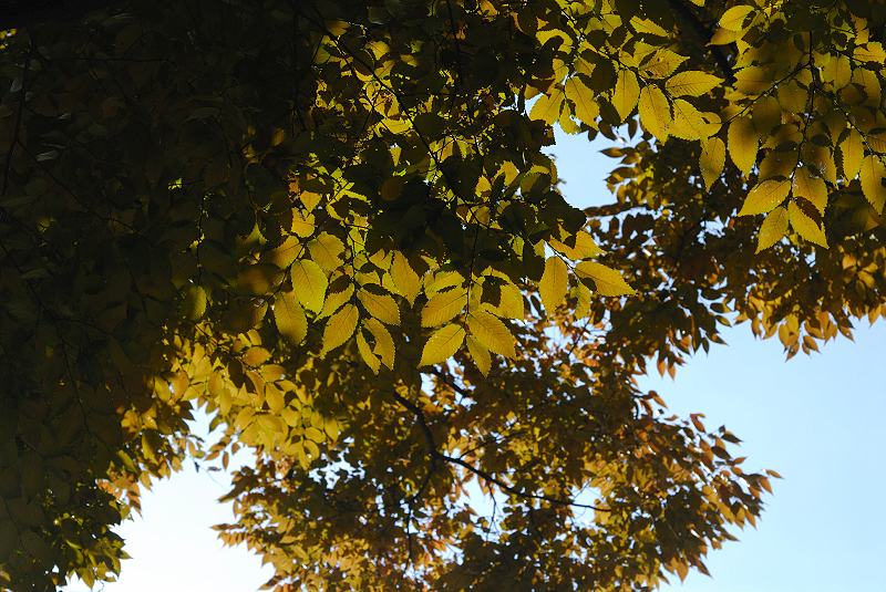 image0150