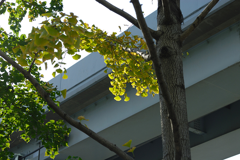 image0152