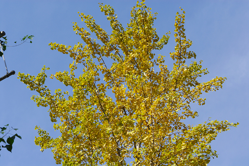 image0158