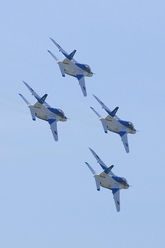 image0739