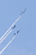 image0394