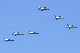 image0591