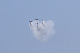 image0696