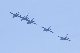 image0796