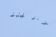 image0798