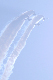 image0839