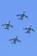 image0871