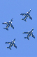 image0873