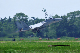 image0586