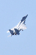 image0603