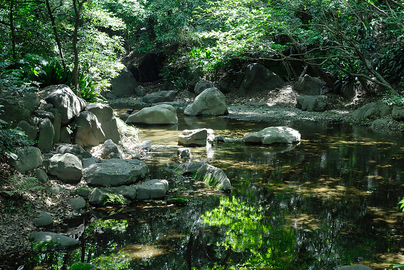 image0069