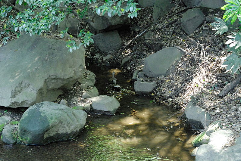 image0075