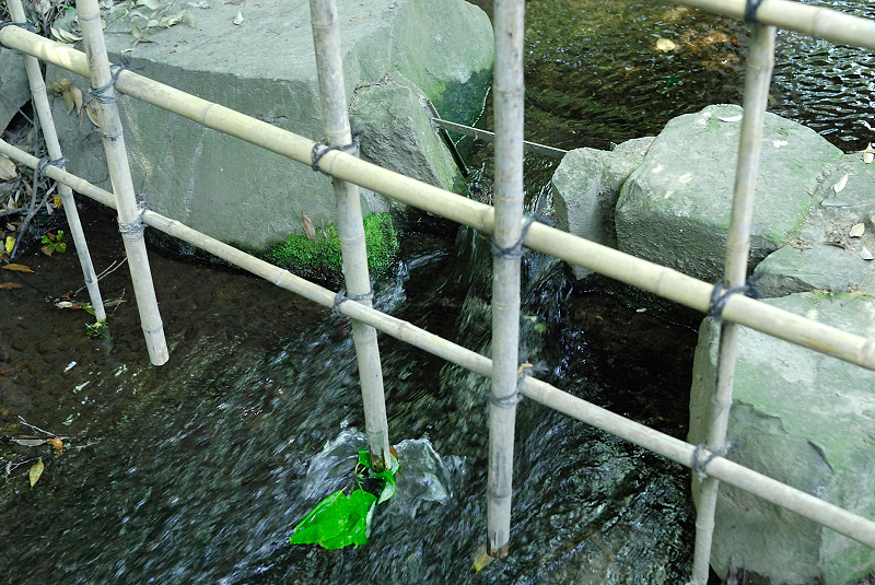 image0077