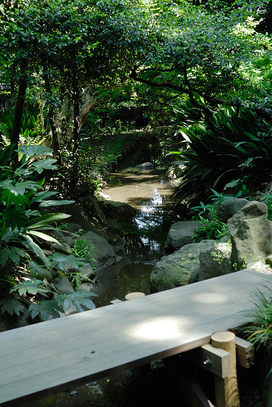 image0078