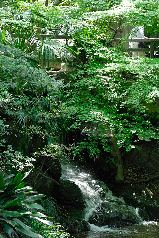 image0079
