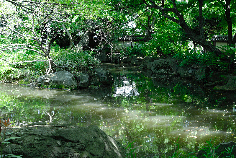 image0081