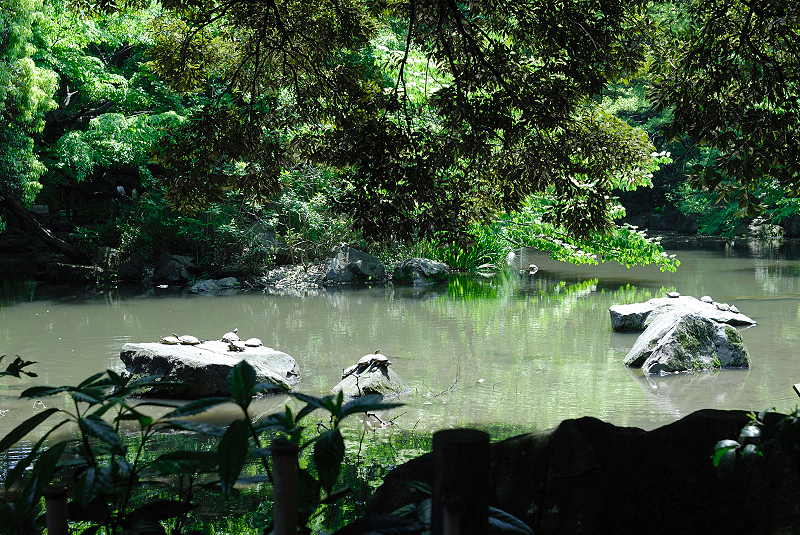 image0087