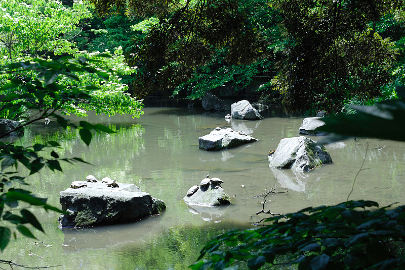 image0088