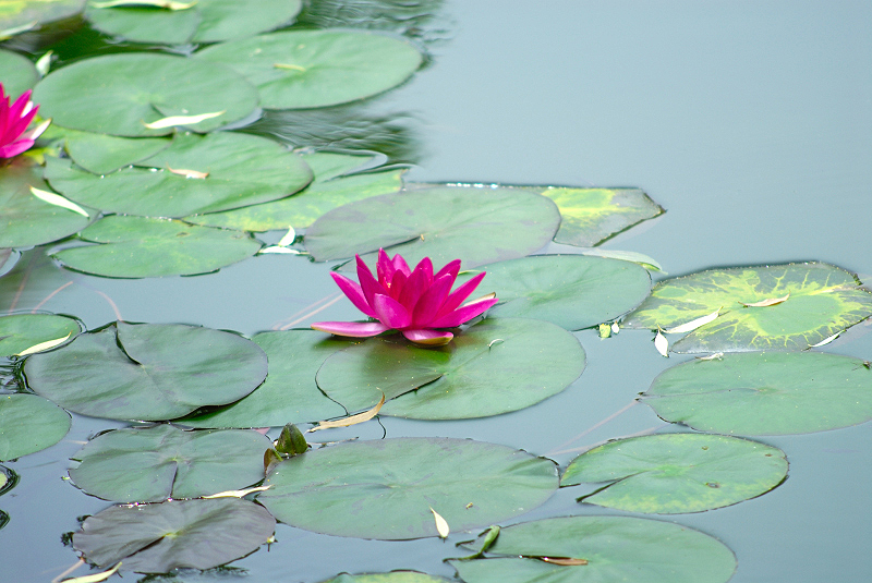 image0103
