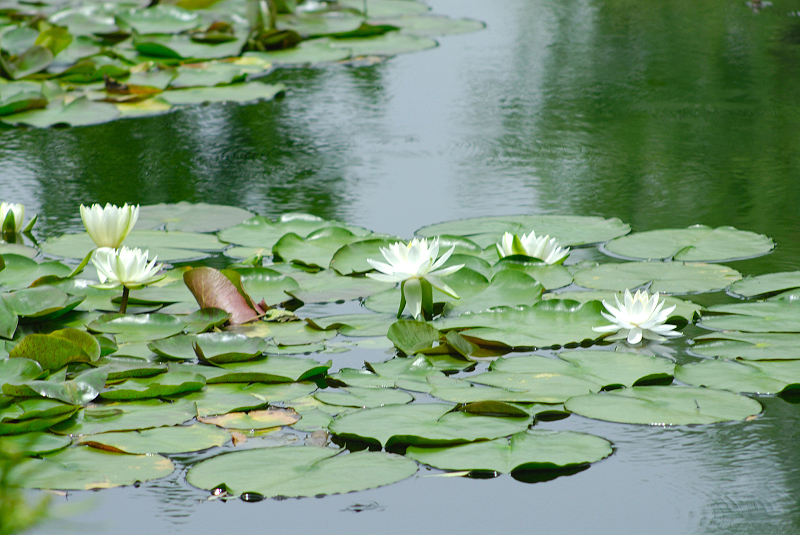 image0107