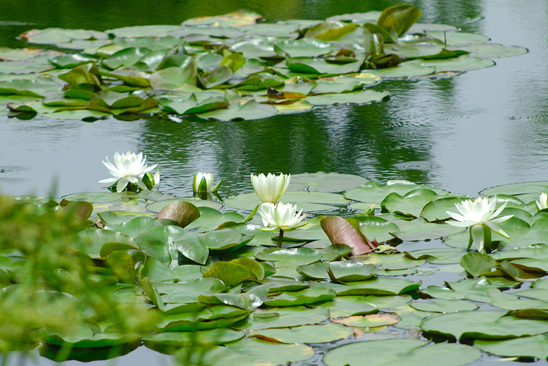 image0108