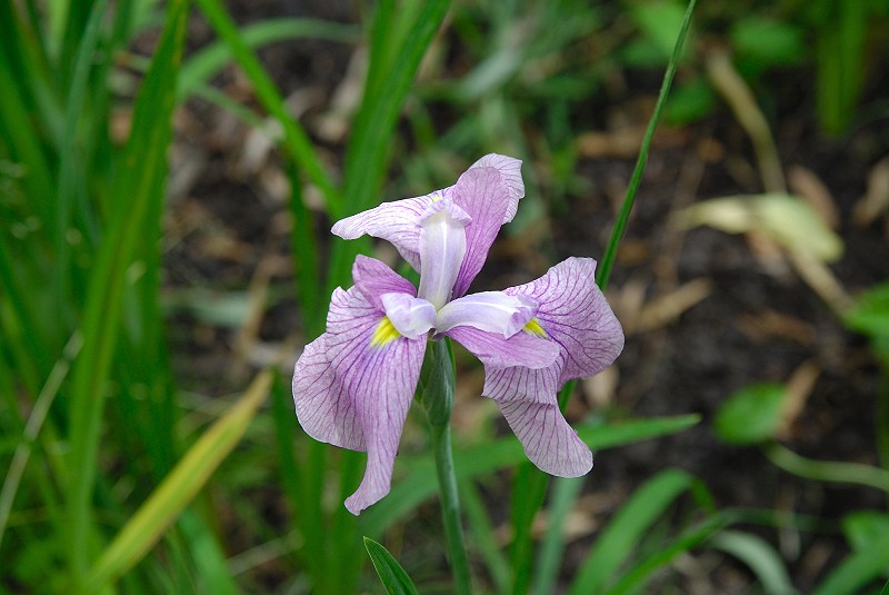 image0116