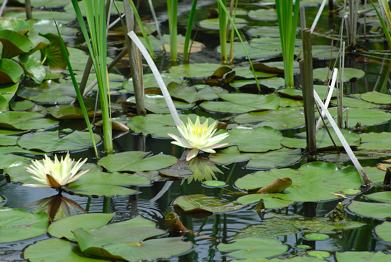 image0125